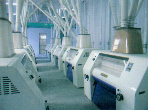 �O(sh��)��չʾ