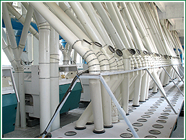 �O(sh��)��չʾ