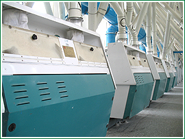 ܇�g�O(sh��)��